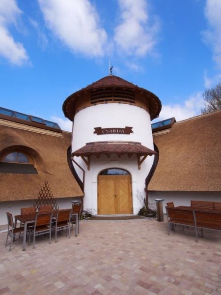オーストリアの伝統建築にも葦（アシ）葺屋根があり、出来たてが強烈に綺麗でした！！
