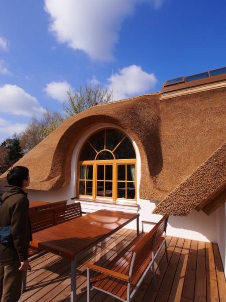 オーストリアの伝統建築にも葦（アシ）葺屋根があり、出来たてが強烈に綺麗でした！！